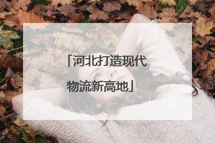 河北打造现代物流新高地
