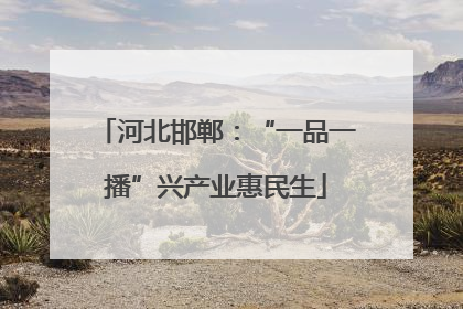 河北邯郸：“一品一播”兴产业惠民生