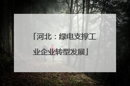 河北：绿电支撑工业企业转型发展