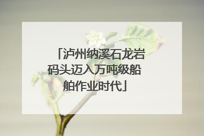 泸州纳溪石龙岩码头迈入万吨级船舶作业时代