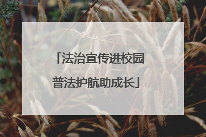 法治宣传进校园 普法护航助成长