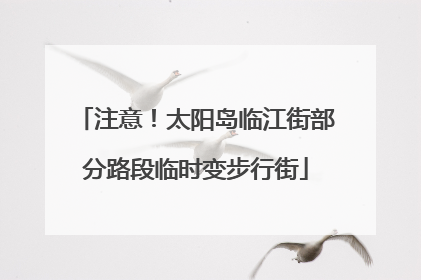 注意！太阳岛临江街部分路段临时变步行街