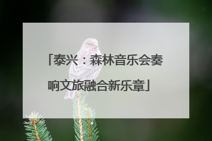 泰兴：森林音乐会奏响文旅融合新乐章