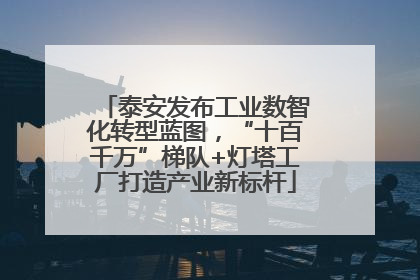 泰安发布工业数智化转型蓝图，“十百千万”梯队+灯塔工厂打造产业新标杆