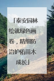 泰安园林绘就绿色画卷，精细防治护佑苗木成长