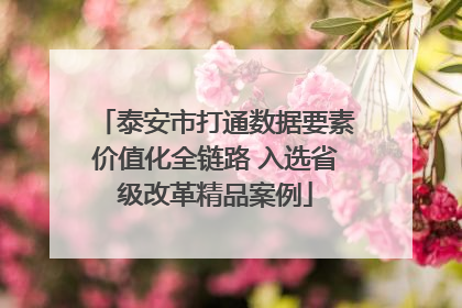 泰安市打通数据要素价值化全链路 入选省级改革精品案例