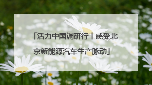 活力中国调研行丨感受北京新能源汽车生产脉动