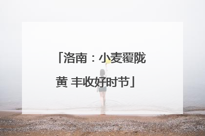 洛南：小麦覆陇黄 丰收好时节