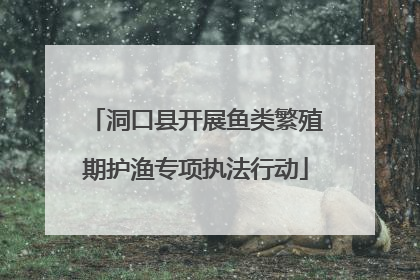 洞口县开展鱼类繁殖期护渔专项执法行动