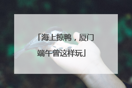 海上掠鸭，厦门端午曾这样玩