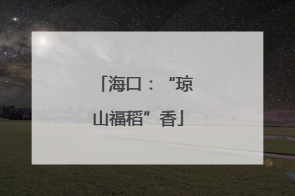 海口：“琼山福稻”香