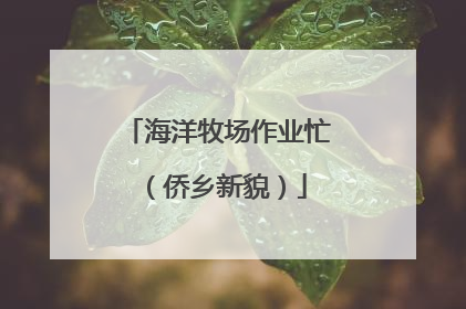 海洋牧场作业忙（侨乡新貌）