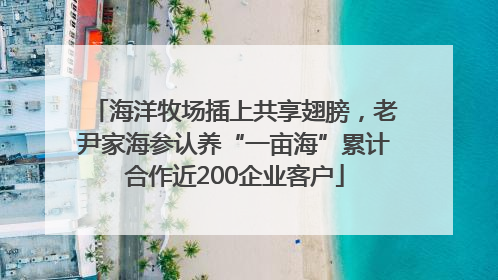 海洋牧场插上共享翅膀，老尹家海参认养“一亩海”累计合作近200企业客户