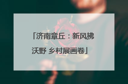 济南章丘：新风拂沃野 乡村展画卷