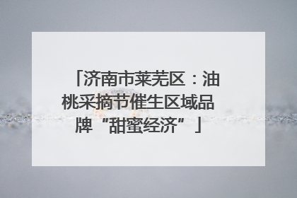 济南市莱芜区：油桃采摘节催生区域品牌“甜蜜经济”