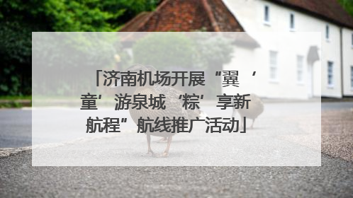 济南机场开展“翼‘童’游泉城‘粽’享新航程”航线推广活动
