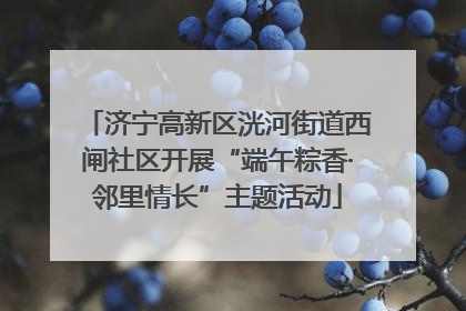 济宁高新区洸河街道西闸社区开展“端午粽香·邻里情长”主题活动