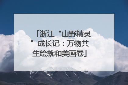 浙江“山野精灵”成长记：万物共生绘就和美画卷