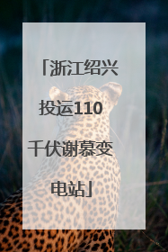 浙江绍兴投运110千伏谢慕变电站