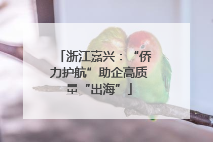 浙江嘉兴：“侨力护航”助企高质量“出海”