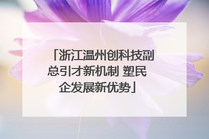 浙江温州创科技副总引才新机制 塑民企发展新优势