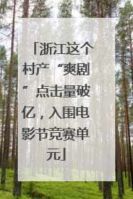 浙江这个村产“爽剧”点击量破亿，入围电影节竞赛单元