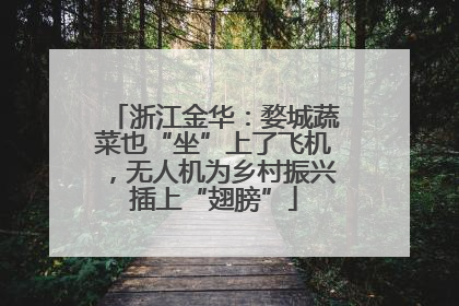 浙江金华：婺城蔬菜也“坐”上了飞机，无人机为乡村振兴插上“翅膀”