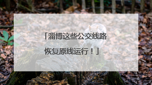 淄博这些公交线路恢复原线运行！