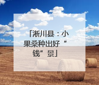 淅川县：小果桑种出好“钱”景