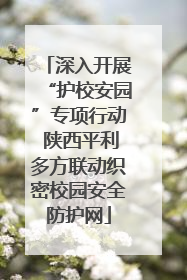 深入开展“护校安园”专项行动 陕西平利多方联动织密校园安全防护网