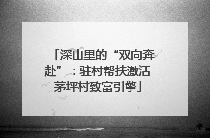 深山里的“双向奔赴”：驻村帮扶激活茅坪村致富引擎