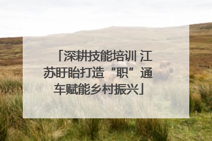 深耕技能培训 江苏盱眙打造“职”通车赋能乡村振兴