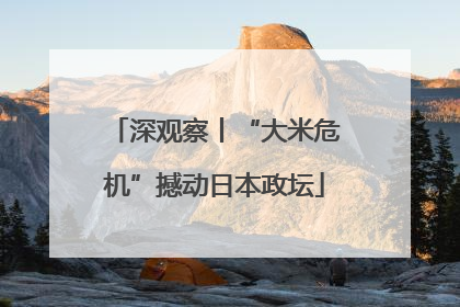 深观察丨“大米危机”撼动日本政坛