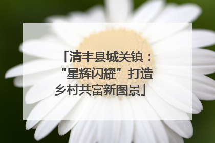 清丰县城关镇：“星辉闪耀”打造乡村共富新图景