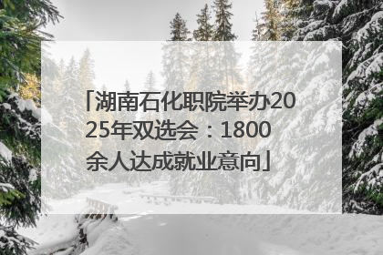 湖南石化职院举办2025年双选会：1800余人达成就业意向
