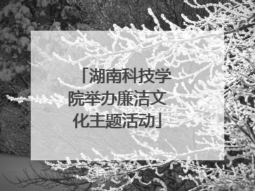 湖南科技学院举办廉洁文化主题活动