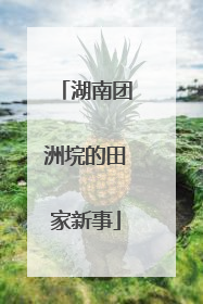 湖南团洲垸的田家新事