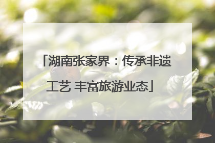 湖南张家界：传承非遗工艺 丰富旅游业态