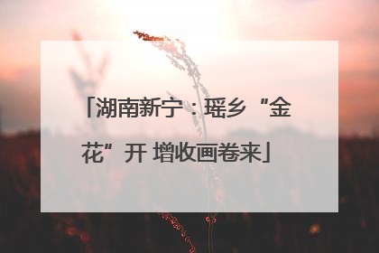 湖南新宁：瑶乡“金花”开 增收画卷来