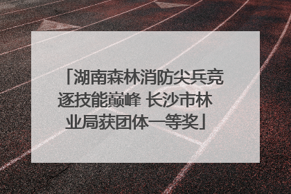 湖南森林消防尖兵竞逐技能巅峰 长沙市林业局获团体一等奖