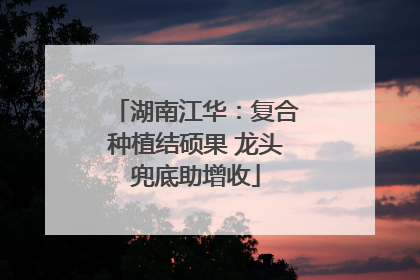 湖南江华：复合种植结硕果 龙头兜底助增收