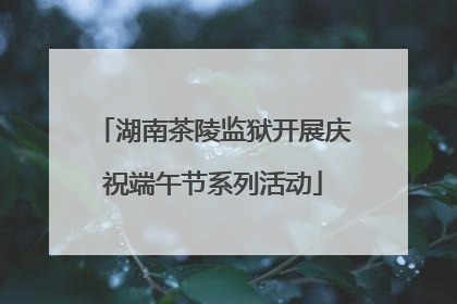 湖南茶陵监狱开展庆祝端午节系列活动