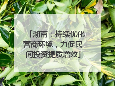 湖南：持续优化营商环境，力促民间投资提质增效