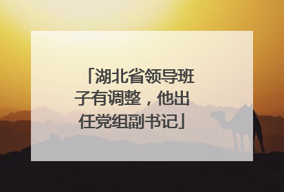 湖北省领导班子有调整，他出任党组副书记