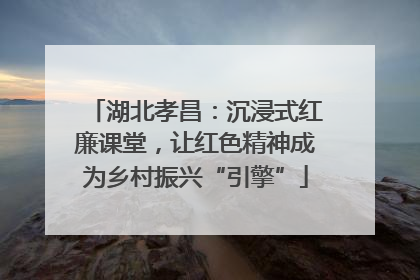 湖北孝昌：沉浸式红廉课堂，让红色精神成为乡村振兴“引擎”