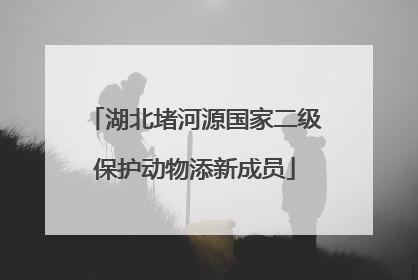 湖北堵河源国家二级保护动物添新成员