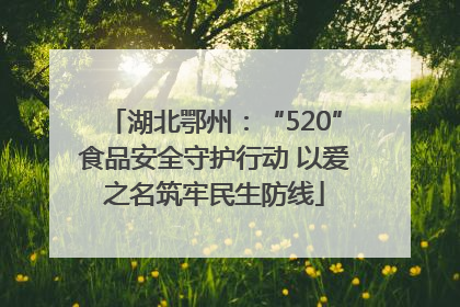 湖北鄂州：“520”食品安全守护行动 以爱之名筑牢民生防线