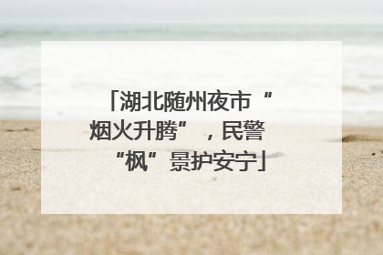 湖北随州夜市“烟火升腾”，民警“枫”景护安宁