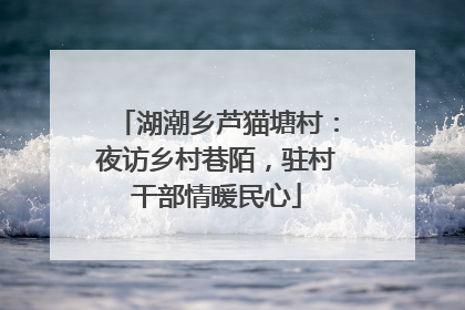 湖潮乡芦猫塘村：夜访乡村巷陌，驻村干部情暖民心