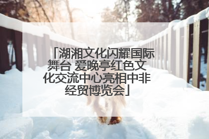 湖湘文化闪耀国际舞台 爱晚亭红色文化交流中心亮相中非经贸博览会